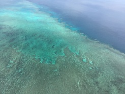 GREAT BARRIER REEF FROM HELICOPTER