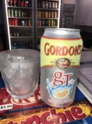 Gin and Tonic in a can? On the Boat
